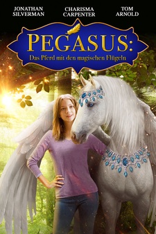 Pegasus: Pony with a Broken Wing