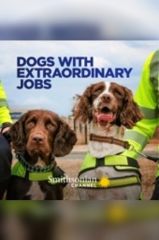 Dogs with Extraordinary Jobs