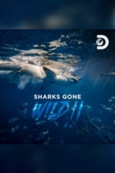 Sharks Gone Wild 2