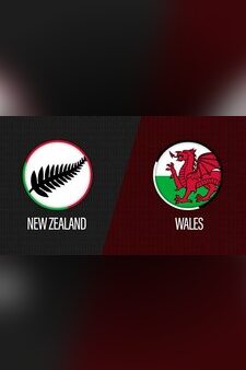 International friendly: New Zealand v Wales