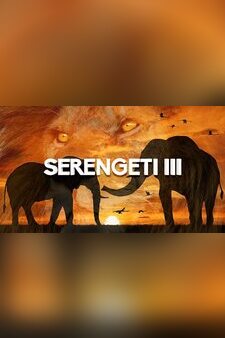 Serengeti III Category: Nature