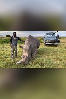 Expedition Rhino: The Search for the Last Northern White
