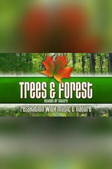 Trees & Forest: Echoes of Nature Relaxation with Music & Nature