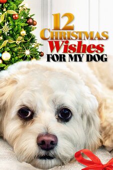 12 Christmas Wishes For My Dog