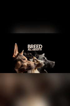 Breed All About It