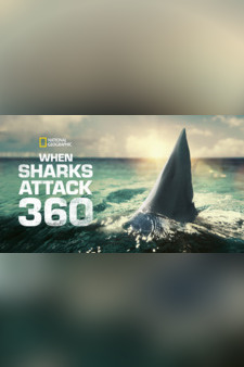 When Sharks Attack 360