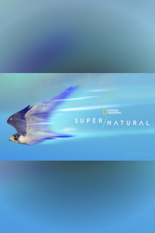 Super/Natural