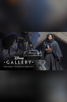 Disney Gallery / Star Wars: The Book of...