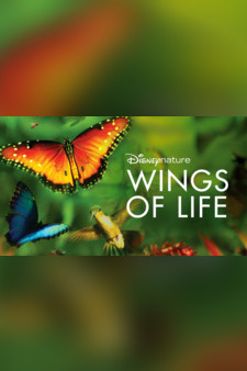 Disneynature Wings of Life