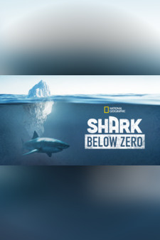Shark Below Zero