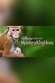 Disneynature Monkey Kingdom