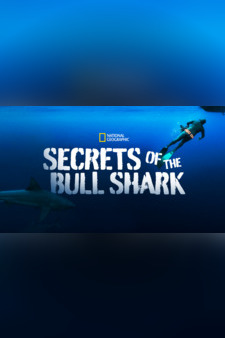 Secrets of the Bull Shark