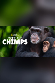 Welcome To Chimp Haven