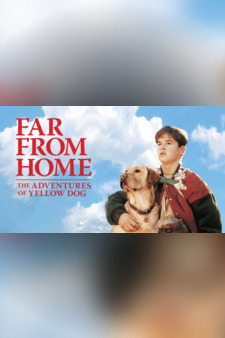Far from Home: The Adventures of Yellow Dog