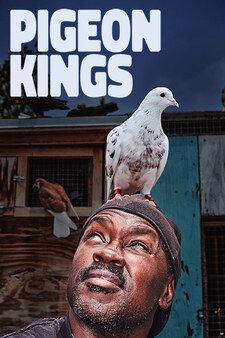 Pigeon Kings