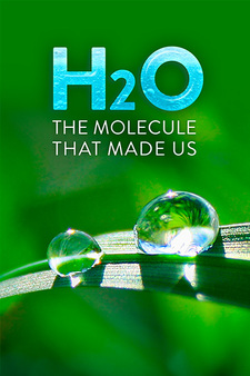 H20: The Molecule That Made Us