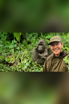 Saving the Gorillas: Ellen's Next Adventure
