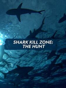 Shark Kill Zone: The Hunt