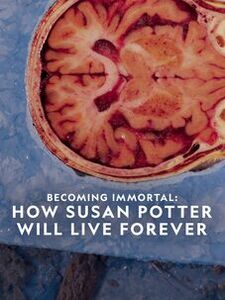 Becoming Immortal: How Susan Potter Will Live Forever
