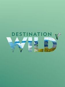 Destination WILD
