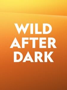 Wild After Dark
