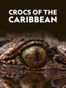 Crocs of the Caribbean