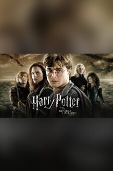 Harry Potter and the Deathly Hallows Par...