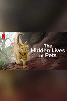 The Hidden Lives of Pets