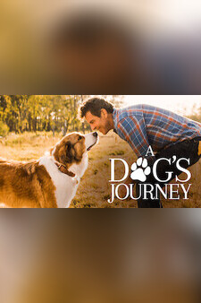 A Dog's Journey