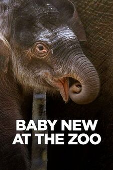 Baby New At The Zoo