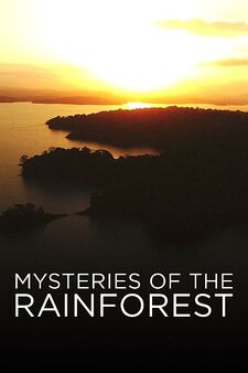 Mysteries of the Rainforest