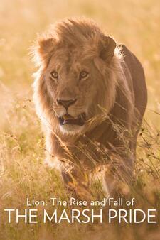 Lion: The Rise and Fall of the Marsh Pri...