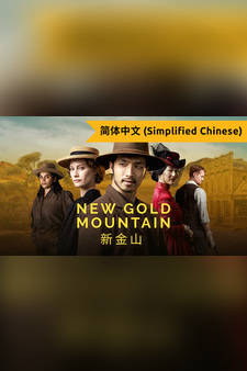 New Gold Mountain (Simplified Chinese)