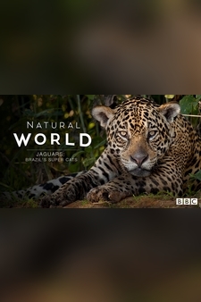 Natural World: Jaguars - Brazil's Super...