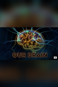 Our Brain