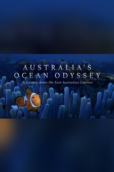Australia’s Ocean Odyssey: A Journey Down the East Australian Current