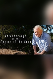 Attenborough And The Empire Of The Ants