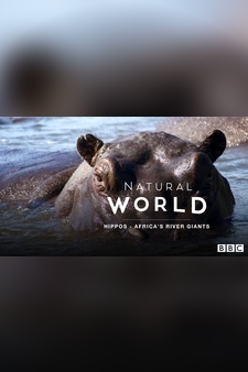Natural World: Hippos - Africa's River Giants